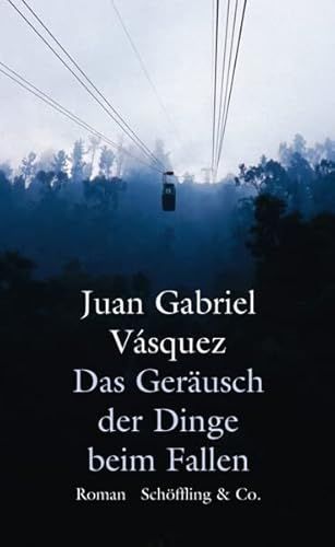 Das Geräusch der Dinge beim Fallen: Ausgezeichnet mit dem Premio Alfaguara de novela 2014 und dem International IMPAC Dublin Literary Award 2014. Roman