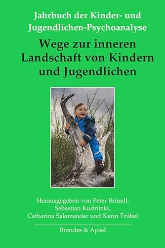 Wege zur inneren Landschaft von Kindern und Jugendlichen (Jahrbuch der Kinder- und Jugendlichen-Psychoanalyse)