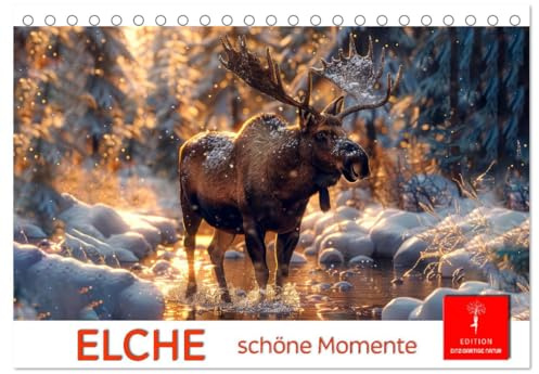 Elche - schöne Momente (Tischkalender 2026 DIN A5 quer), CALVENDO Monatskalender: Wunderschöne Wildtiere Skandinaviens entdecken. (CALVENDO Tiere)