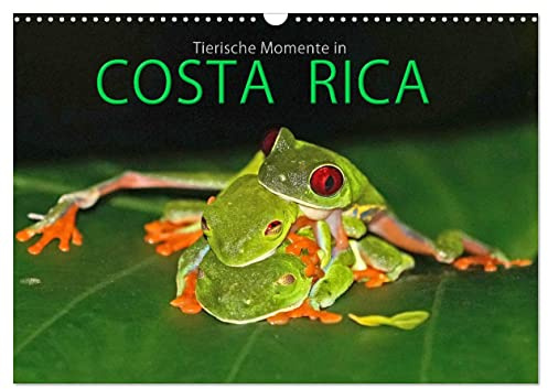 COSTA RICA - Tierische Momente (Wandkalender 2026 DIN A3 quer), CALVENDO Monatskalender: Kleiner Einblick in die Tierwelt Costa Ricas (CALVENDO Tiere)