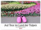 Auf Tour im Land der Tulpen (Tischkalender 2024 DIN A5 quer), CALVENDO Monatskalender: Tulpe - die Königin der Blumen (CALVENDO Natur)