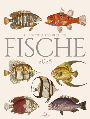 Fische Kalender 2025 - Hochwertiger Naturpapierkalender im großen Hochformat (50x66 cm) - Kalender mit historischen Illustration - Friedrich Justin Bertuch - Naturkunde - Vintage