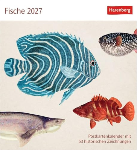 Fische Postkartenkalender 2027 - Postkartenkalender mit 53 historischen Zeichnungen: Kalender mit Retro-Illustrationen. Schönes Geschenk für Kunst- und Naturliebhaber. 16 x 17,5 cm