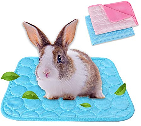 RIOUSSI 2er-Pack Meerschweinchen-Bett für den Sommer, Haustier-Kühlmatte für Kaninchen, Meerschweinchen, Chinchillas, waschbar, atmungsaktiv, Eisseide, Größe M, Blau + Rosa