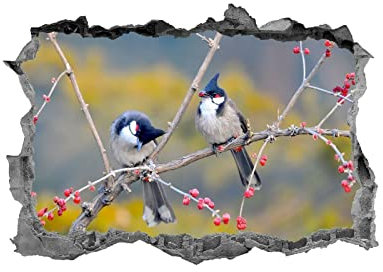 Adesivo da parete per uccelli, adesivo per uccelli, arte della parete di Bulbul, murale per uccelli, uccelli, adesivi