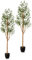 PASCH® 2 x Künstlicher Olivenbaum (150cm) - Stilvoll & Naturgetreu | Künstliche Pflanzen groß | Kunstpflanzen groß: Olive Tree | Olivenbaum künstlich groß für mediterranes Ambiente