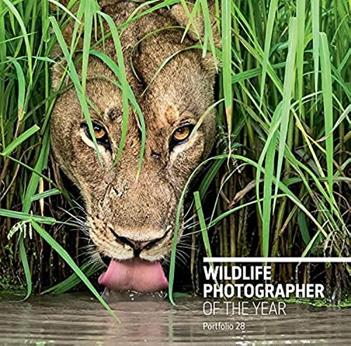Wildlife Photographer of the Year.Portfolio.28