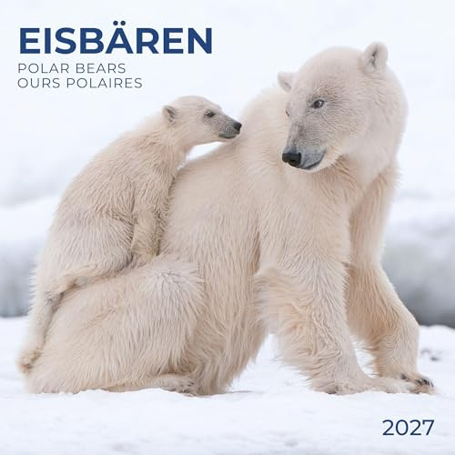 Eisbären / Polar Bears 2027: Kalender 2027 (Artwork Edition)