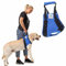 Nature Pet Tragehilfe für Hunde vorne- Tragegurt Hund (XXL, Blau)