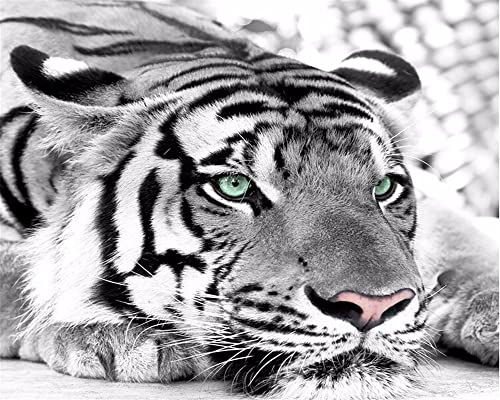 XTSWallpaper 3D Wandplakat Wandbild Tapete Wandtattoo 400X280Cm Tier Tiger Textur Wandaufkleber 3D Wandbilder Decals Selbstklebend Vinyl Tapete Abnehmbare Kinder Zimmer Wandschmuck
