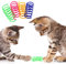 TUKNN Katzenspielzeug, Spirale, Interaktives Katzenspielzeug, 4PCS, Rot, Grün, Blau, Gelb, Für Katzen, Kätzchen, Haustiere