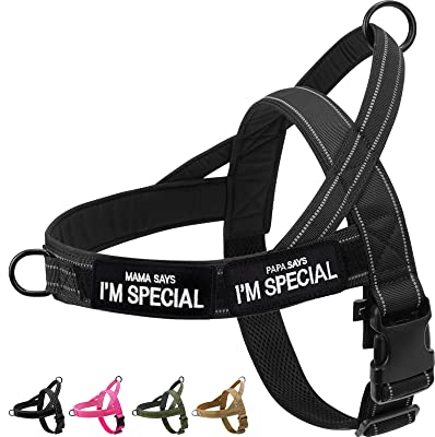 Eeyfarog No Pull Hundegeschirr für kleine mittelgroße Hunde, reflektierend ausbruchsicher verstellbar ohne Zug, Hundegeschirr (Schwarz, L)