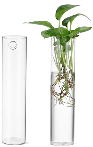 NULYLU 2pièces Vases Muraux Verre Cylindriques Jardinières Suspendues pour Plantes Décoration Murale Élégante pour Fleurs Et Plantes Propagées