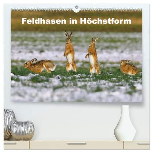 Feldhasen in Höchstform (hochwertiger Premium Wandkalender 2026 DIN A2 quer), Kunstdruck in Hochglanz: Ausgewählte Bilder von Feldhasen in Aktion. (CALVENDO Tiere)