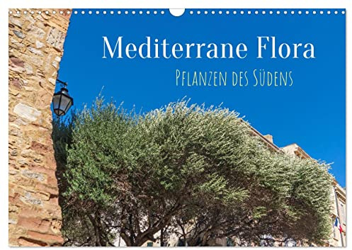 Mediterrane Flora - Pflanzen des Südens (Wandkalender 2026 DIN A3 quer), CALVENDO Monatskalender: Mediterrane Pflanzen prägen Städte und Landschaften am Mittelmeer (CALVENDO Orte)