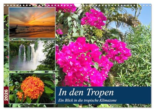 In den Tropen - Ein Blick in die tropische Klimazone (Wandkalender 2026 DIN A3 quer), CALVENDO Monatskalender: Die Tropen begeistern durch eine ... faszinierende Pflanzenwelt. (CALVENDO Natur)