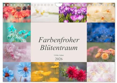 Farbenfroher Blütentraum (Wandkalender 2026 DIN A4 quer), CALVENDO Monatskalender: Bunte Blütenfotos verzaubern uns das ganze Jahr (CALVENDO Natur)