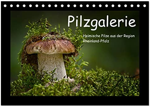 Pilzgalerie - Heimische Pilze aus der Region Rheinland-Pfalz (Tischkalender 2026 DIN A5 quer), CALVENDO Monatskalender: 13 beeindruckende Pilzaufnahmen (CALVENDO Natur)