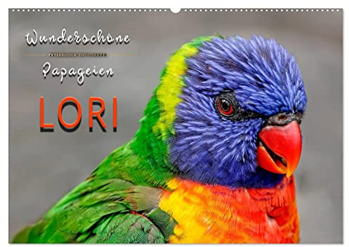 Wunderschöne Papageien - Lori (Wandkalender 2026 DIN A2 quer), CALVENDO Monatskalender: Eindrucksvolle Bilder der exotischen Vögel. (CALVENDO Tiere)