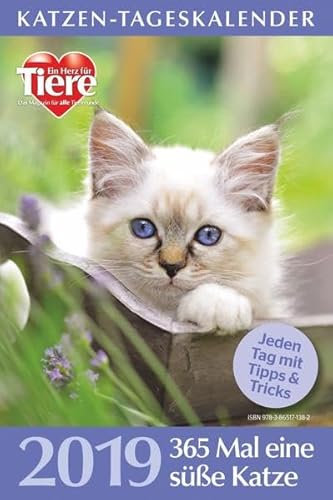Katzen-Tageskalender 2019: 365 Mal eine süße Katze