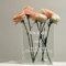 Waldspring Buch Vase, Clear Book Vase, Klare Acryl Büchervase, Klare Buch Blumenvase, Bücher Deko für Ästhetische Raumdekoration, Blumenarrangements, Mittelstücke und Heimdekoration (Weiß)