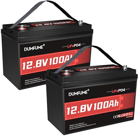 2 Pezzi Batteria LiFePO4 12V 100Ah con BMS 100A, Potenza Uscita 1280W, 6000+ Cicli - Set Batterie Litio Ideale per Camper, Fotovoltaico, Sistemi Solari Off-Grid