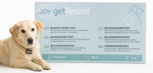 getTested Blutgruppentest für Hunde – Schnelltest für Blutgruppe A & B – Heimtest mit Ergebnis in 5–10 Minuten – Einfach & zuverlässig für Zuhause