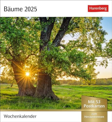 Bäume Postkartenkalender 2025 - Wochenkalender mit 53 Postkarten: Fotokalender mit 53 Postkarten zum Sammeln und Verschicken. Dekorative ... Fotografen. Wochen-Tischkalender 2025