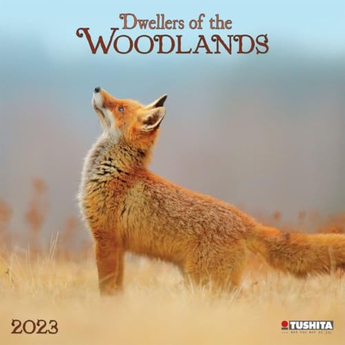 Woodlands/Bewohner des Waldes 2023: Kalender 2023 (Wonderful World)
