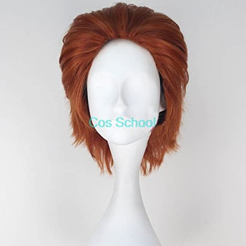 Cos Schule Jäger X Jäger Hisoka Cosplay Perücken Kurzes Haar Hisoka Perücke Zubehör Phantomtruppe Hisoka Kostüme CHINA Hisoka