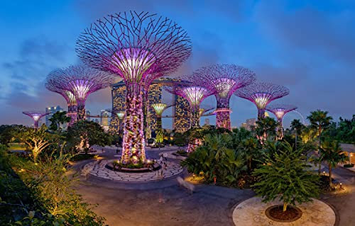 LHJOYSP Puzzle 1000 Teile Junge Stadt Nachtlichter Park Singapur Bucht 75x50cm
