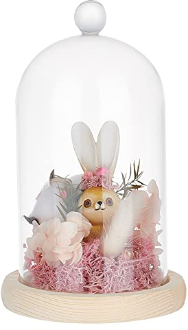 PandaHall Cloche de dôme d'affichage en Verre, Cloche en Verre avec Bouchon Bocaux décoratifs en dôme de Verre pour Le Stockage des Plantes succulentes Décoration de fête à la Maison, 11 x 18,5cm