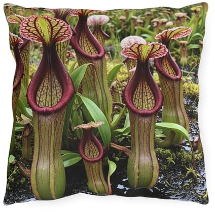 Colorful Tropical Pitcher Plants Outdoor Pillow - Water and Sun Resistant
