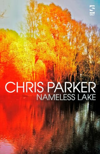 Nameless Lake (Salt Modern Fiction): Fragments and darkness intertwine is this scintillating tale of female friendship