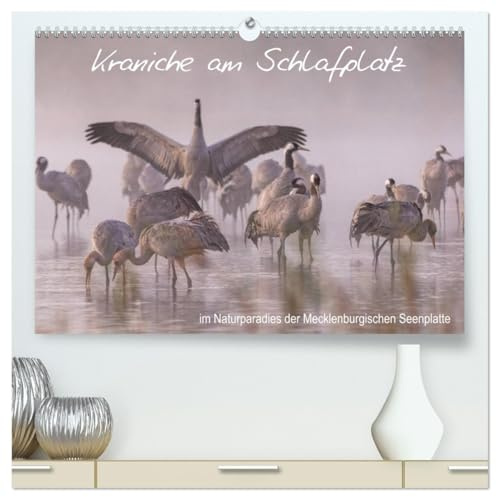 Kraniche am Schlafplatz - im Naturparadies der Mecklenburgischen Seenplatte (hochwertiger Premium Wandkalender 2026 DIN A2 quer), Kunstdruck in ... Mecklenburgischen Seenplatte (CALVENDO Tiere)