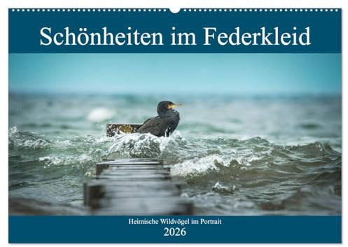 Schönheiten im Federkleid - Heimische Wildvögel im Portrait (Wandkalender 2026 DIN A2 quer), CALVENDO Monatskalender: Ein Einblick in die Farbenvielfalt unserer Wildvögel (CALVENDO Tiere)