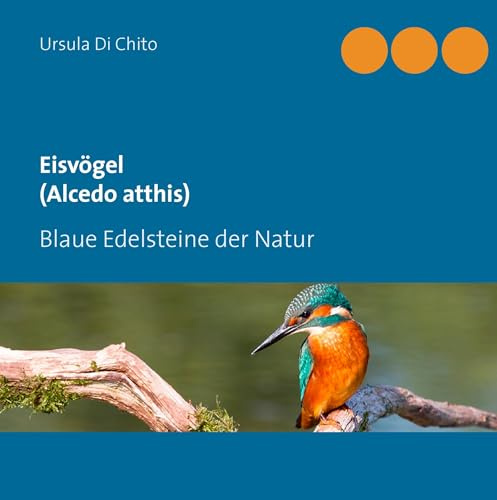 Eisvögel (Alcedo atthis): Blaue Edelsteine der Natur