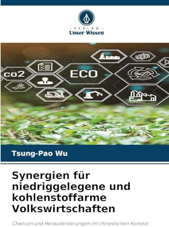 Synergien für niedriggelegene und kohlenstoffarme Volkswirtschaften: Chancen und Herausforderungen im chinesischen Kontext