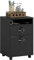 HOMCOM 60cm Filing Cabinet with Drawer, Open Shelf, Metal Handles and 4 Wheels, Office Home Organiser Mobile Printer with Two Locks, Black