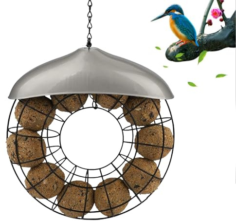 TyCylKu Meisenknödel Futterring - Home Meisenknödelhalter Metall 40x25cm Meisenknödelring Zum Hängen Vogelfutterspender Hängend Meisenknödelsäule Vogelfutterstation Futterstationen Für Wildvögel