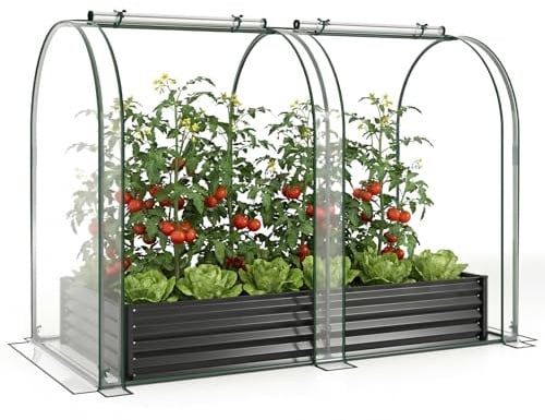 FANTASK Invernadero 3 en 1 con bancal, 180 x 100 x 145 cm, semillero con Cubierta de PVC y 2 Ventanas, Invernadero para Hierbas, Flores y Verduras, Jardinera para jardín (Negro)