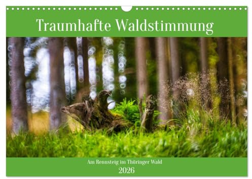 Traumhafte Waldstimmung am Rennsteig im Thüringer Wald (Wandkalender 2026 DIN A3 quer), CALVENDO Monatskalender: Träumerische und stimmungsvolle Einblicke am Rennsteig (CALVENDO Natur)