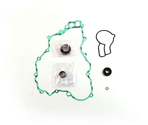 Athena Parts P400270475007 Dichtungssatz für Wasserpumpe, Schwarz