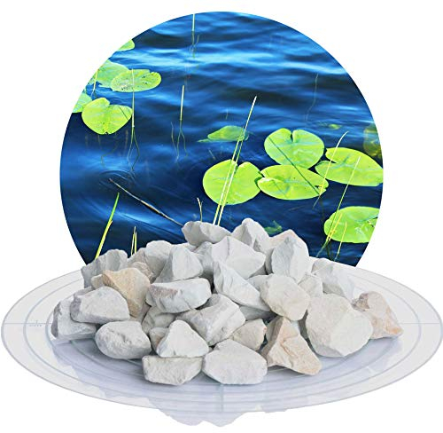 Schicker Mineral Zeolith-Aqua 10 kg, Wasseraufbereiter, Filtermedium für Gartenteich, Schwimmteich, Swimmingpool, Aquarium, 100% natürlichen Ursprungs, Sandfilteranlage (16,0-32,0 mm)