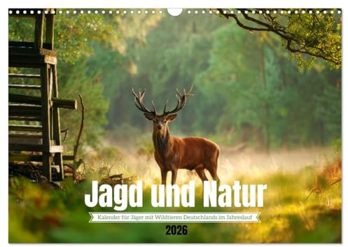 Jagd und Natur - Kalender für Jäger mit Wildtieren Deutschlands im Jahreslauf (Wandkalender 2026 DIN A3 quer), CALVENDO Monatskalender: ... in ihrer schönsten Form. (CALVENDO Natur)