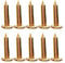 10pcs / Set 3/5/7/8 / 10cm Surveying Steel Nails Survey Markers Boundary Survey Participation-5cm