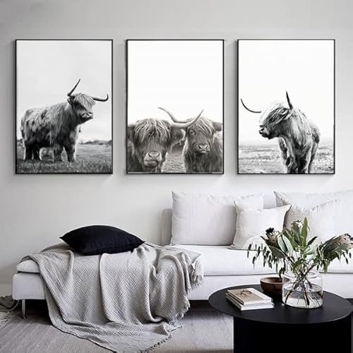 LXTOPN Lustige Hochland Kuh Wandkunst Poster Bilder,Schwarz-Weiß Leinwand Bild,Rustikale Stil Wandbilder für Wohnzimmer, Schlafzimmer Dekor,ohne Rahmen (3*kuh-1, 50x70cm*3)