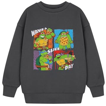 Teenage Mutant Ninja Turtles Graues Sweatshirt für Jungen | Pullover mit Grafik „Have A Slice Day“ | TMNT Kinderbekleidung | Leonardo, Michelangelo, Don und Raffael | Lustiges Cartoon Film Merchandise