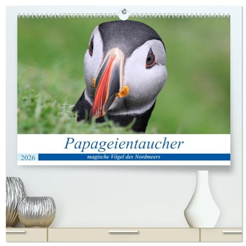 Papageientaucher 2026 - Magische Vögel des Nordmeers (hochwertiger Premium Wandkalender 2026 DIN A2 quer), Kunstdruck in Hochglanz: Portraits der ... das Nordmeer zu bieten hat (CALVENDO Tiere)