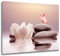 EOBTAIN Lienzo decorativo para pared con diseño de flores blancas y mariposas rosas sobre piedra, cuadro moderno enmarcado para yoga, spa, pintura espiritual, decoración para baño, dormitorio, sala de